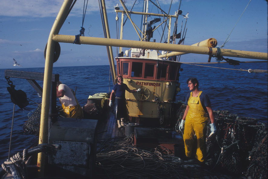 Fishermen accepted the introduction of the No Take Zone on the grounds it covered an area rarely potted, and the assurance that it would probably lead to increased catches of lobsters and crabs elsewhere around the island.