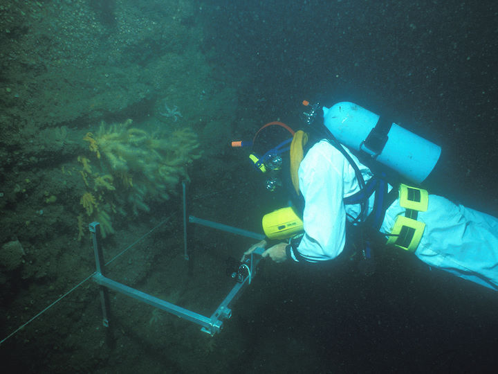 Robert Irving using a specially designed monitoring frame to re-photograph communities along a 10 m long horizontal transect at the Knoll Pins in 1984 © Keith Hiscock