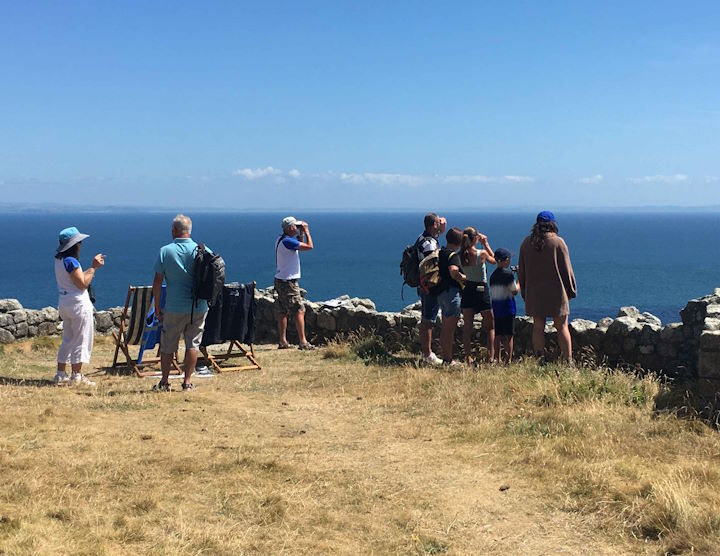 Keeping a watch for passing cetaceans from the Castle parade &copy; Robert Irving