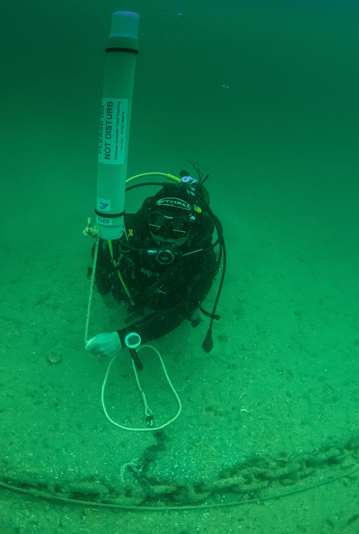 Recovering an F-POD hydrophone recording device from the wreck of the MV Robert &copy; Mike Deaton