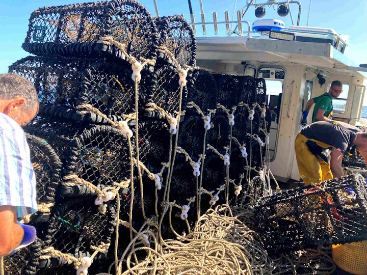 New pots were purchased for this project. Each pot (with associated rope and fittings) cost £160. Fortunately, the project was able to sell them on after the completion of the project &copy; Robert Irving